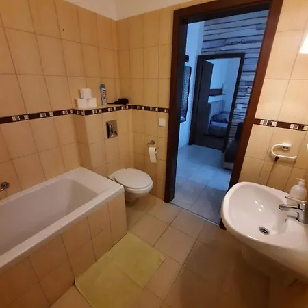Apartament Wellness