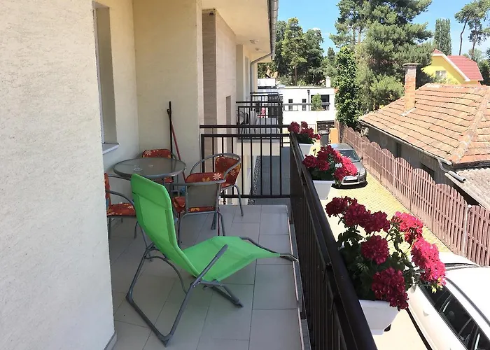 Wellness Apartman *